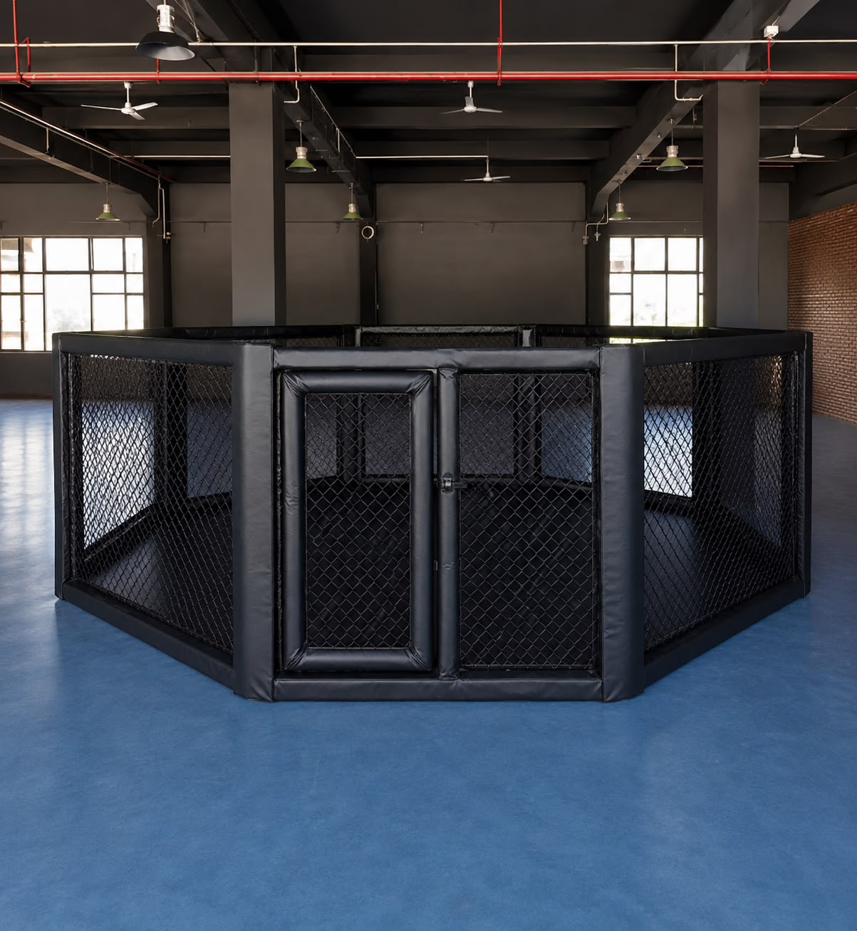 Professional MMA Cage